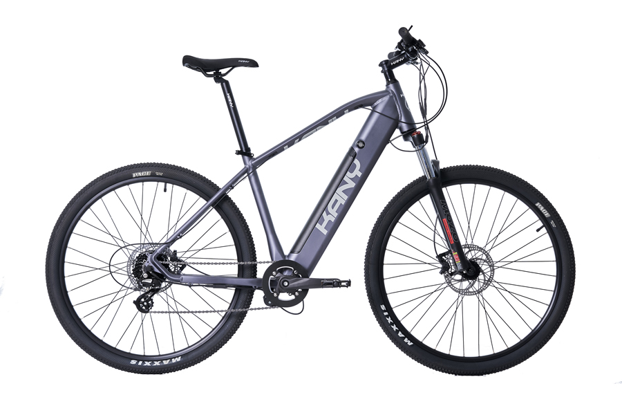 e-Mountain Bike